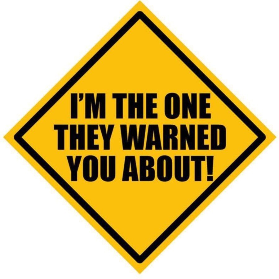 Fantaboy I Am The One They Warned You About ! Sides Car Sticker